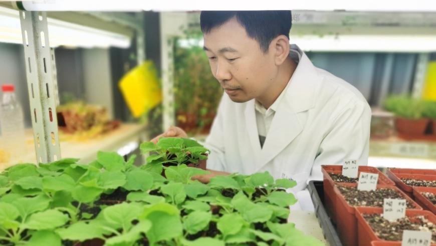 2025年舌香港开奖结果,诸葛亮谈刘备得了MVP,决策资料解释落实_网红版V1.87