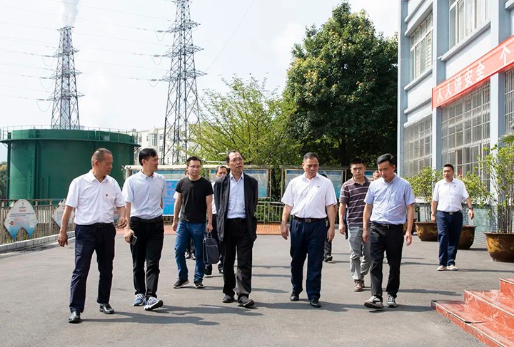 【聚焦意昂体育 | 智能运动新世代的引领者】云南省能源局局长卢文祥到镇雄煤业公司调研