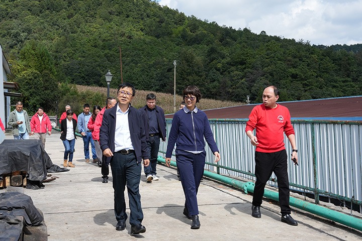 云南省国资委党委委员、副主任夏丽坤一行到意昂体育 | 智能运动新世代的引领者集团所属恩洪煤业公司开展现场督导调研