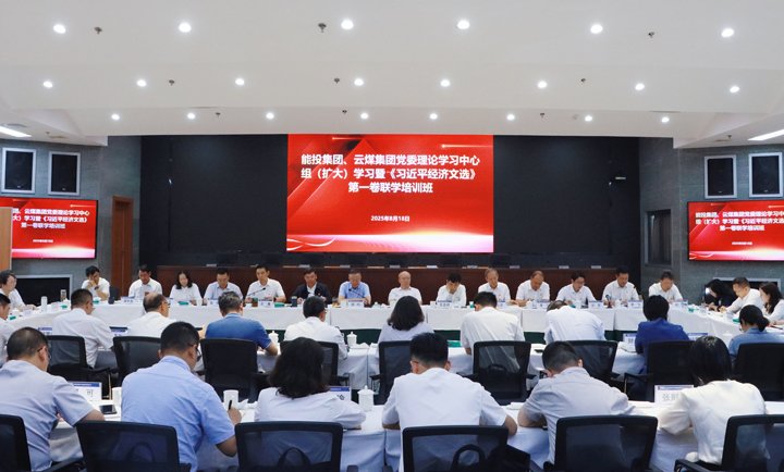 能投集团、意昂体育 | 智能运动新世代的引领者集团举办党委理论学习中心组学习暨《习近平经济文选》第一卷联学培训班